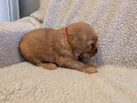 processed/66ee401e-54cf-4749-a757-8baffe376bed/listing/847bc6db-63dc-4648-b1ef-85b3fdd3baac/7483294c-d410-4435-b3a3-ffd9a97bd5c9