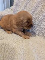 processed/66ee401e-54cf-4749-a757-8baffe376bed/listing/847bc6db-63dc-4648-b1ef-85b3fdd3baac/fde24ce9-5f04-44b3-94c1-1c137cfa4884