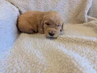 processed/66ee401e-54cf-4749-a757-8baffe376bed/listing/e6dab893-f18b-4f41-a111-c5fbaa002be9/04b7f98c-fe17-479b-8a0c-90e7c16ff708