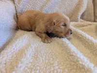 processed/66ee401e-54cf-4749-a757-8baffe376bed/listing/e6dab893-f18b-4f41-a111-c5fbaa002be9/0cf0b766-1847-41aa-aeca-8d802741f4a6