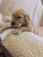 processed/66ee401e-54cf-4749-a757-8baffe376bed/listing/e6dab893-f18b-4f41-a111-c5fbaa002be9/2cfa270e-d2b9-4305-a22c-7904c64791ae