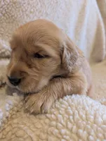 processed/66ee401e-54cf-4749-a757-8baffe376bed/listing/e6dab893-f18b-4f41-a111-c5fbaa002be9/64c674ea-8682-47d0-b0a8-e57450ff9675