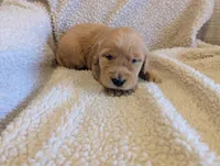 processed/66ee401e-54cf-4749-a757-8baffe376bed/listing/e6dab893-f18b-4f41-a111-c5fbaa002be9/af3707e7-3e1c-495d-b35b-efed4e6f227a