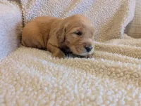 processed/66ee401e-54cf-4749-a757-8baffe376bed/listing/e6dab893-f18b-4f41-a111-c5fbaa002be9/de420737-3965-4739-9671-7e7d71346d9f