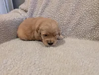 processed/66ee401e-54cf-4749-a757-8baffe376bed/listing/fc9cb029-c109-4140-a830-7298529bc2f1/29c127a1-0978-4f4b-ba44-88b05975fcab