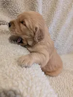 processed/66ee401e-54cf-4749-a757-8baffe376bed/listing/fc9cb029-c109-4140-a830-7298529bc2f1/6fc57397-9c90-4be1-9a5d-a8a66dcffdab