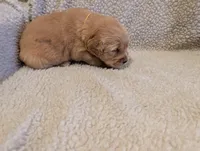 processed/66ee401e-54cf-4749-a757-8baffe376bed/listing/fc9cb029-c109-4140-a830-7298529bc2f1/e21b45ff-5d7f-40d8-b37c-4ce359f62680