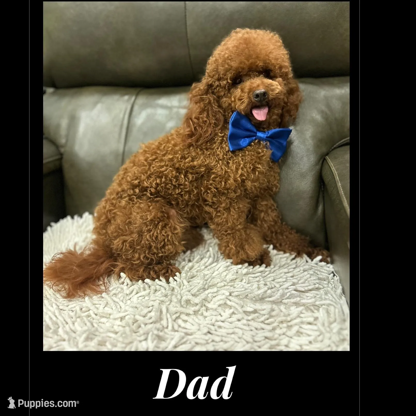 processed/66f8367a-4153-4770-b247-3fe01c9fd529/facility/04cf60a9-daa1-471e-b85e-4e5dff61ceeb