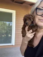 processed/66f8367a-4153-4770-b247-3fe01c9fd529/facility/0625aaa7-b8bf-48a0-a544-cdf501c10d9c