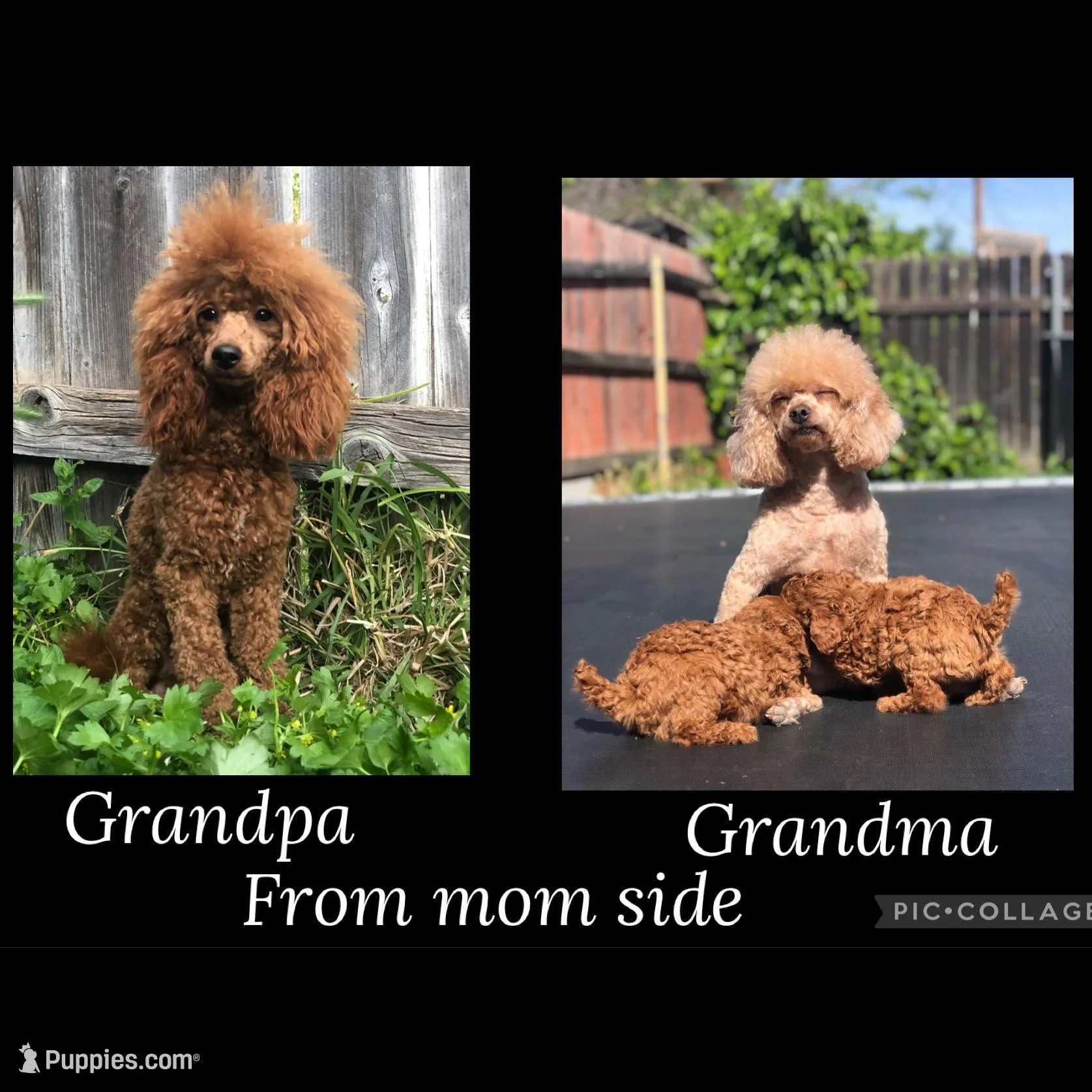 processed/66f8367a-4153-4770-b247-3fe01c9fd529/facility/256d663b-193c-4819-9fae-2f36efa1ec08