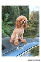 processed/66f8367a-4153-4770-b247-3fe01c9fd529/facility/6592021d-8735-4c31-bfde-4bdfa7f27cdf