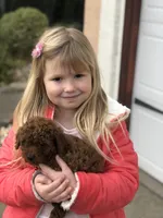 processed/66f8367a-4153-4770-b247-3fe01c9fd529/facility/9563cba5-e1b2-42b4-a979-3673fc2dc689