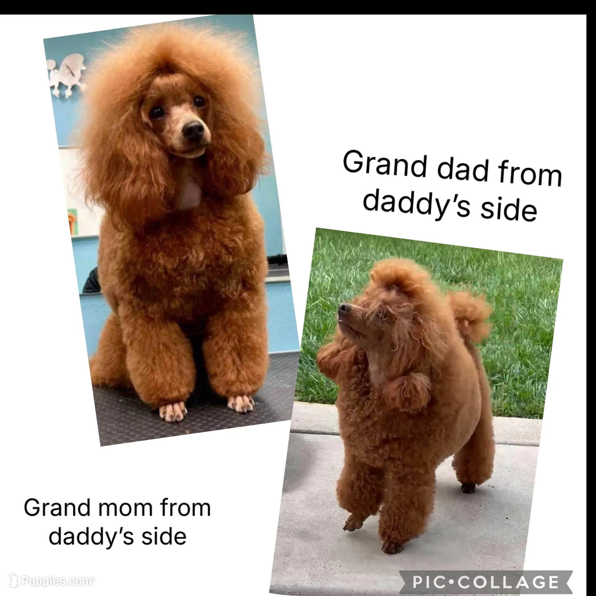 processed/66f8367a-4153-4770-b247-3fe01c9fd529/facility/c3323a19-d1e9-4063-af50-31433f039b2e