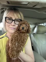 processed/66f8367a-4153-4770-b247-3fe01c9fd529/facility/e97ec87c-baea-4f2c-833c-3e142a6119fb