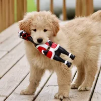 Yukon, a male Samoyed and Golden Retriever for sale in Neillsville, WI – 1 of 4