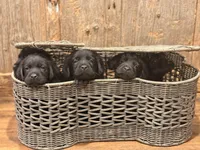 processed/6709ac79-e01e-4b1c-a782-7fb0f2a5444f/listing/0fbf2121-216a-43fd-acf3-69376103c961/3664de2b-13c4-40d7-b4f6-0e75af684dcc