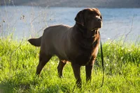 processed/6709ac79-e01e-4b1c-a782-7fb0f2a5444f/listing/0fbf2121-216a-43fd-acf3-69376103c961/525d2a38-97b7-45e5-897d-14673f8f64bf