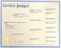 processed/6709ac79-e01e-4b1c-a782-7fb0f2a5444f/listing/0fbf2121-216a-43fd-acf3-69376103c961/69c6b78b-d2db-4407-a491-cf4ac5c7682f