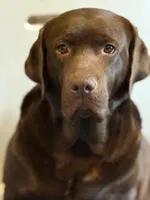 processed/6709ac79-e01e-4b1c-a782-7fb0f2a5444f/listing/0fbf2121-216a-43fd-acf3-69376103c961/94763ed7-9097-4f41-879a-7e1a049285c2