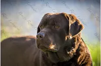 processed/6709ac79-e01e-4b1c-a782-7fb0f2a5444f/listing/1d651c30-1d31-478d-b7ec-efac90568827/163d2b63-b201-4387-b29a-c2abbc4e0dae