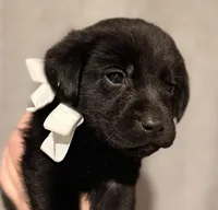 processed/6709ac79-e01e-4b1c-a782-7fb0f2a5444f/listing/1d651c30-1d31-478d-b7ec-efac90568827/38ed627e-13cb-4873-8a61-71e370a243a3