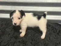 processed/671a18f7-c84f-4e46-9c51-144719c57424/listing/7cfd194e-8732-45d0-96af-d6506ec8db14/193fc009-a4e8-4871-9577-7ff3586a5131