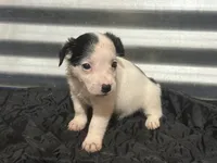 processed/671a18f7-c84f-4e46-9c51-144719c57424/listing/7cfd194e-8732-45d0-96af-d6506ec8db14/52514fc6-8577-4663-ade8-a391efdb5041