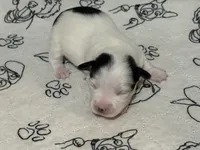 processed/671a18f7-c84f-4e46-9c51-144719c57424/listing/7cfd194e-8732-45d0-96af-d6506ec8db14/7e065e39-7ace-4d8a-b205-934ffa672365