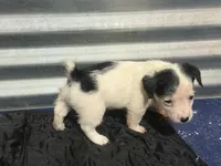 processed/671a18f7-c84f-4e46-9c51-144719c57424/listing/7cfd194e-8732-45d0-96af-d6506ec8db14/901312e1-d9b1-47a4-9a98-3c58893bb34a