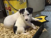 processed/671a18f7-c84f-4e46-9c51-144719c57424/listing/7cfd194e-8732-45d0-96af-d6506ec8db14/cac7f7c6-a455-4747-8345-54b818be6e29