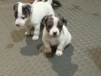 processed/671a18f7-c84f-4e46-9c51-144719c57424/listing/8823f65f-34c1-4a2b-8306-2765865ba77b/07cab018-6b36-4b76-8e9e-4b6db42b385a