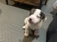 processed/671a18f7-c84f-4e46-9c51-144719c57424/listing/8823f65f-34c1-4a2b-8306-2765865ba77b/0c0af42c-dded-4615-a9df-2f619dd8a5d9