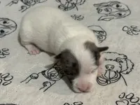 processed/671a18f7-c84f-4e46-9c51-144719c57424/listing/8823f65f-34c1-4a2b-8306-2765865ba77b/543c553d-477d-4a35-91f1-c85a2e8d072a