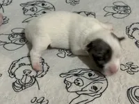 processed/671a18f7-c84f-4e46-9c51-144719c57424/listing/8823f65f-34c1-4a2b-8306-2765865ba77b/8b20c070-3acf-4cee-8d52-605da57df84e