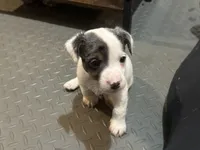 processed/671a18f7-c84f-4e46-9c51-144719c57424/listing/8823f65f-34c1-4a2b-8306-2765865ba77b/8e8604e0-657a-4bfd-9238-4c0716d0bd86