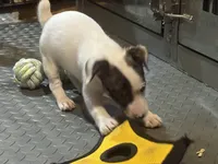 processed/671a18f7-c84f-4e46-9c51-144719c57424/listing/8823f65f-34c1-4a2b-8306-2765865ba77b/a9bc6d2f-5b5a-4199-83de-127055a53b3e