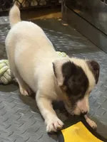 processed/671a18f7-c84f-4e46-9c51-144719c57424/listing/8823f65f-34c1-4a2b-8306-2765865ba77b/bc867f48-2530-420f-91b2-92a482319e41