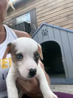 processed/671a18f7-c84f-4e46-9c51-144719c57424/listing/8c6c7589-61d5-4dad-8176-9ffc6d325106/3b1b6dad-3ced-40d5-8c11-19de32ea0a07