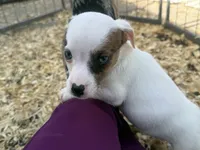 processed/671a18f7-c84f-4e46-9c51-144719c57424/listing/8c6c7589-61d5-4dad-8176-9ffc6d325106/74c14b9e-ecfa-499e-a416-eb4d8769e3d8