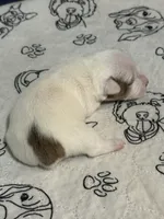 processed/671a18f7-c84f-4e46-9c51-144719c57424/listing/8c6c7589-61d5-4dad-8176-9ffc6d325106/b32a1def-5332-49a7-9b94-852d76f45725