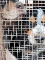 processed/672a4e8e-b77d-45e3-b687-f7608826f1bb/listing/d02e9492-ba3d-4487-b1fe-234df3910d5a/55fb09b9-3d7e-4073-b052-4ce5ee88ff5b