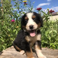 processed/67368a44-38b7-4868-b454-b5ce9d9decdb/facility/2ec2d38c-3ed6-4049-9e38-1542e461d61b