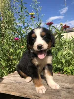 processed/67368a44-38b7-4868-b454-b5ce9d9decdb/facility/2ec2d38c-3ed6-4049-9e38-1542e461d61b