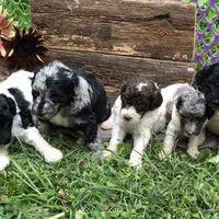 processed/67368a44-38b7-4868-b454-b5ce9d9decdb/facility/4149f41e-54f5-4335-8b29-b39bee52a058