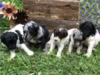 processed/67368a44-38b7-4868-b454-b5ce9d9decdb/facility/4149f41e-54f5-4335-8b29-b39bee52a058