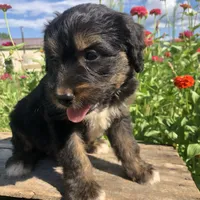 processed/67368a44-38b7-4868-b454-b5ce9d9decdb/facility/7618844d-1015-4836-984a-dfe4cef7fab3