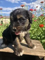 processed/67368a44-38b7-4868-b454-b5ce9d9decdb/facility/7618844d-1015-4836-984a-dfe4cef7fab3