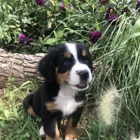 processed/67368a44-38b7-4868-b454-b5ce9d9decdb/facility/923e0f06-6fd3-4d27-84e3-de6594c0add1