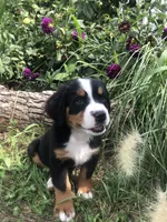 processed/67368a44-38b7-4868-b454-b5ce9d9decdb/facility/923e0f06-6fd3-4d27-84e3-de6594c0add1