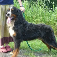 processed/67368a44-38b7-4868-b454-b5ce9d9decdb/facility/b9214e9f-fa8c-4beb-b62d-fd6d21818aac